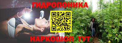 PSILOCYBIN Баксан