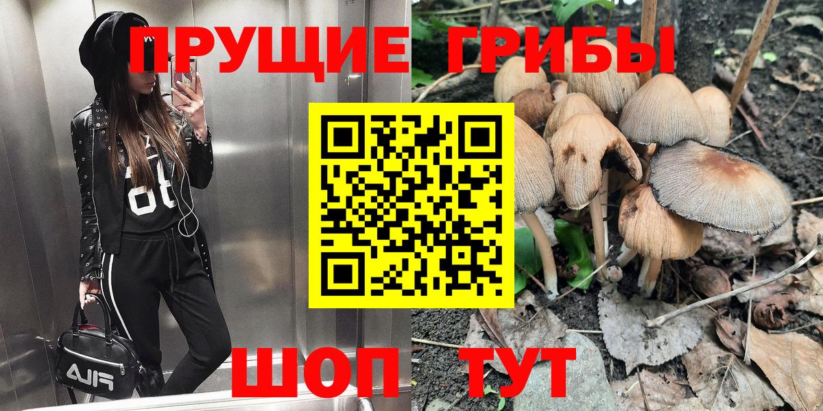 Псилоцибиновые грибы ЛСД  Псилоцибиновые грибы ЛСД  Вход с VPN  Ахтубинск 